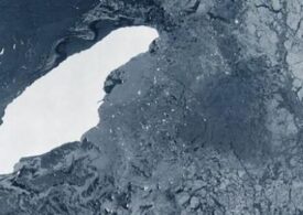 Cel mai mare ghețar din lume nu mai există. A68 s-a rupt în mii de bucăți care se topesc rapid