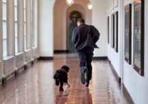 A murit câinele familiei Obama. Fostul președinte american a transmis un mesaj emoționant: „Am pierdut un prieten adevărat şi un tovarăş loial”