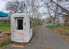 Firme controversate se luptă pentru paza parcurilor din București. Legăturile cu foști polițiști și cu lumea interlopă