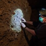 Rămăşiţele a nouă oameni de Neanderthal au fost descoperite într-o peşteră din apropiere de Roma