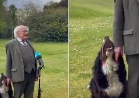 Viral: Câinele care şi-a eclipsat președintele
