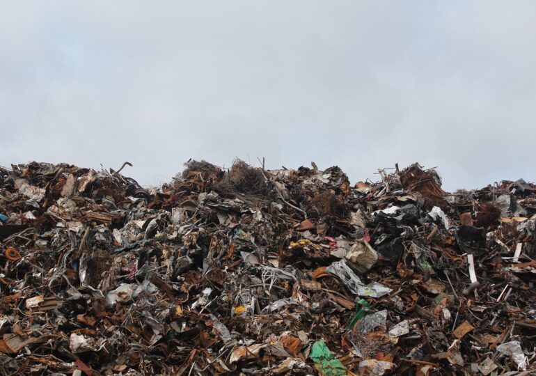 Majoritatea statelor membre, inclusiv România, riscă să nu își atingă obiectivele în materie de deșeuri