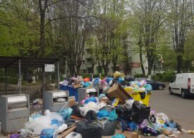 Ploieștiul se sufocă sub grămezi de gunoi care zac neridicate pe străzi. Primarul a convocat Comitetul pentru Situaţii de Urgenţă și se războiește cu Poliția Locală