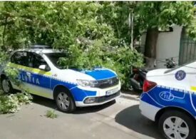 Vântul puternic din Bucureşti a doborât 50 de copaci peste mașini și străzi şi a produs valuri ca la mare, în Herăstrău (Foto&Video)