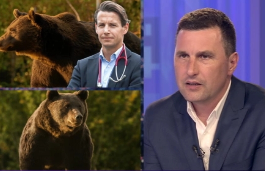 Ministrul Mediului anunță că a schimbat legea după uciderea ursului Arthur. Animalele vor fi împușcate mai repede, dar nu de străini