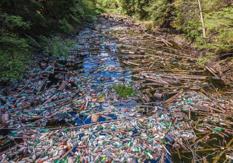 Imagini incredibile cu o frumuseţe de lac sufocat de deșeuri. Voluntarii l-au curăţat (Galerie foto)