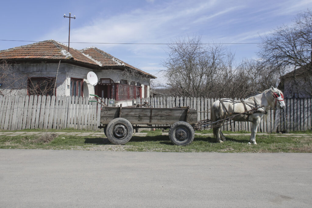 70% dintre românii de la țară ar vota cu AUR și PSD