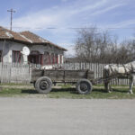 Fenomen neașteptat în mediul rural din România. Acest lucru era o raritate în anii ’90. „Ne-am dezvoltat continuu”