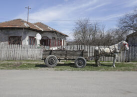 Fenomen neașteptat în mediul rural din România. Acest lucru era o raritate în anii '90. "Ne-am dezvoltat continuu"