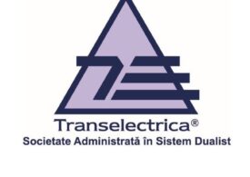 Transelectrica are un nou director general, pentru patru luni