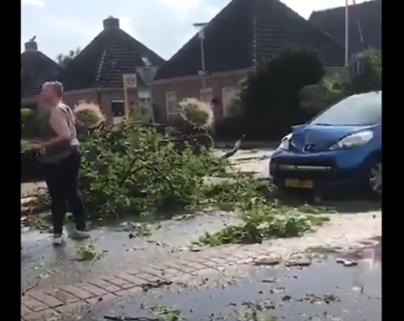 O furtună puternică a distrus case şi a doborât copaci seculari în Olanda (Video)