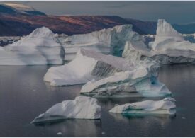 Ghețarii care se topesc în Groenlanda emană cantități imense de mercur
