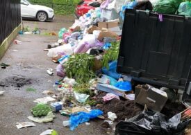 Cîțu intervine în problema gunoiului din București: Sunt sancțiunile prea mici? Le creștem