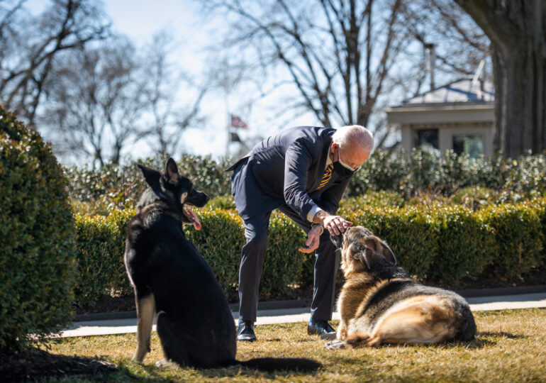 Unul dintre câinii lui Joe Biden a murit