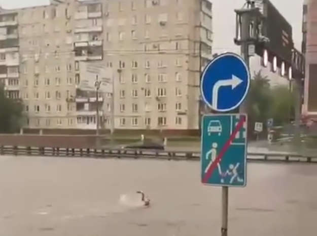 O ploaie torențială a inundat străzi și stații de metrou la Moscova (Video)