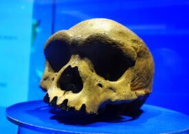Descoperire care schimbă istoria? Homo longi - cea mai apropiată rudă a omului modern