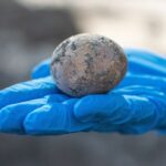 Arheologii israelieni au descoperit un ou vechi de 1.000 de ani. A fost spart din greșeală în laborator
