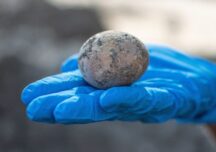 Arheologii israelieni au descoperit un ou vechi de 1.000 de ani. A fost spart din greșeală în laborator
