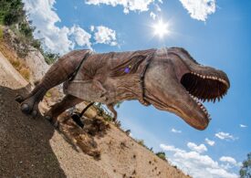 Teoria care schimbă ce știam despre dispariția dinozaurilor: Asteroidul a fost doar lovitura finală