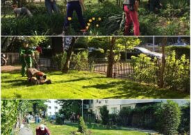 De azi, cetățenii din Sectorul 6 se pot înscrie în programul de revitalizare a grădinilor de bloc
