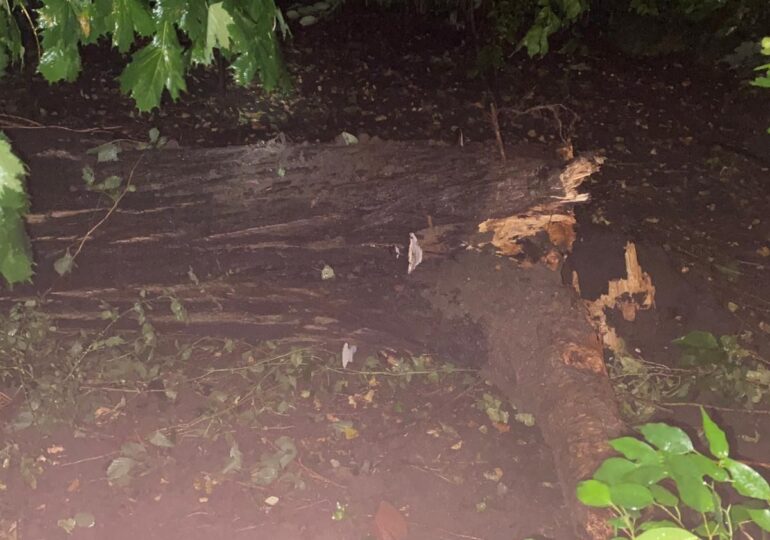 Ce a rămas în urma furtunii care a măturat Capitala azi-noapte: Peste 100 de copaci au fost doborâți, zeci de mașini avariate (Galerie foto)