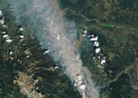 Peste o sută de incendii fac ravagii în vestul Canadei şi în California