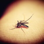 Încă un caz de infecţie cu virusul West Nile în București