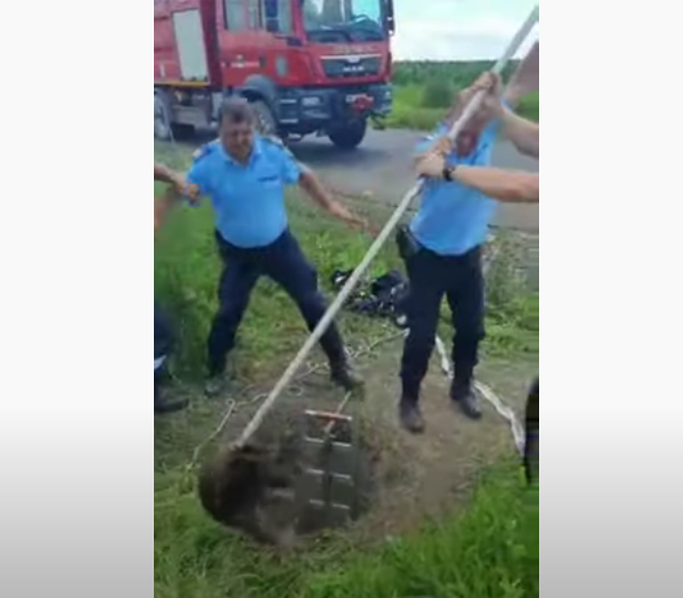 Jandarmii din Buzău s-au chinuit două ore să salveze un bursuc dintr-un puț (Video)