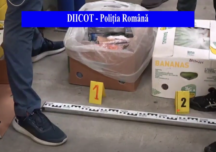 Jumătate de tonă de cocaină, descoperită în cutii de banane, în Chiajna (Video)