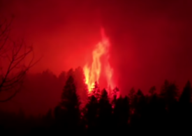Incendiile fac ravagii în America: E stare de urgenţă în vestul Canadei, iar focul din Oregon e mai mare ca Los Angeles-ul (Galerie video)