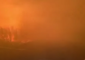 300 de incendii devastează Siberia, cea mai rece regiune din lume (Video)