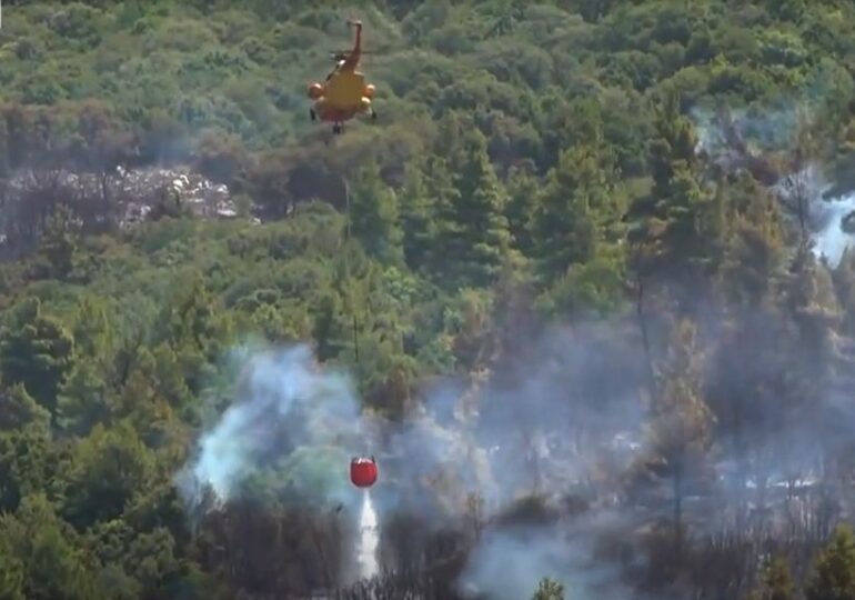 Incendii în Grecia: Aproape 20.000 de persoane au fost evacuate de pe insula Rodos. Grupul TUI a suspendat zborurile (Video)