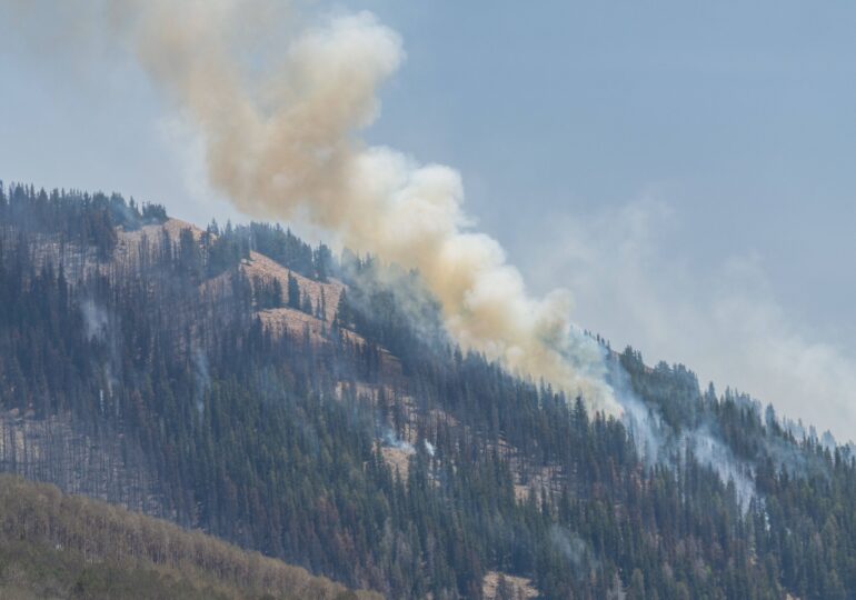 Incendiu forestier de proporţii în Cipru: Patru morți <span style="color:#990000;font-size:100%;">UPDATE</span>