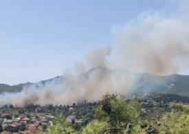 Un incendiu de pădure ameninţă mai multe locuinţe din apropiere de Atena (Video)