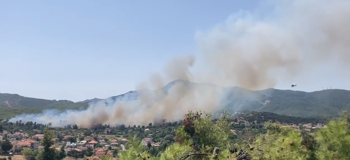 Un incendiu de pădure ameninţă mai multe locuinţe din apropiere de Atena (Video)