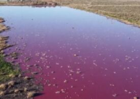 Efecte alarmante ale poluării: O lagună din Patagonia a devenit roz