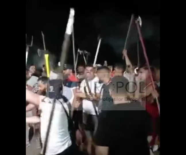 Poliţia a dat amenzi de 16.000 de lei la o petrecere cu furci şi topoare, în București (Video)