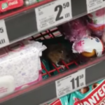 Un șoarece a fost surprins în timp ce mânca ciocolată, într-un Auchan din Cluj-Napoca (Video)