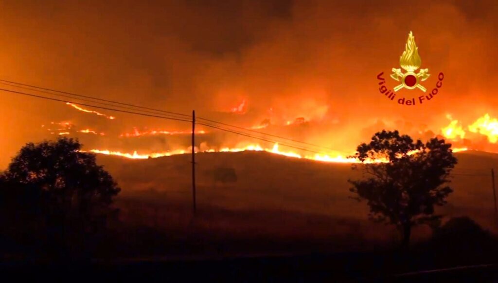 Cum au folosit piromanii pisicile pentru a răspândi incendiile forestiere în Italia