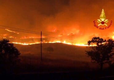 Cum au folosit piromanii pisicile pentru a răspândi incendiile forestiere în Italia