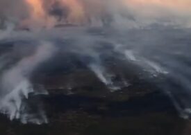 Peste 250 de incendii ard pe teritoriul Rusiei (Video)