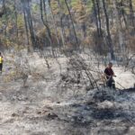 Incendiile din Grecia sunt în sfârșit sub control