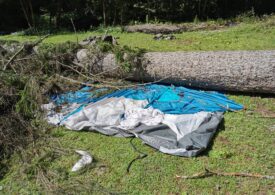 Furtună iscată din senin în Mureș. O fetiță de 6 ani a murit, după ce un copac uriaș a căzut peste cortul familiei