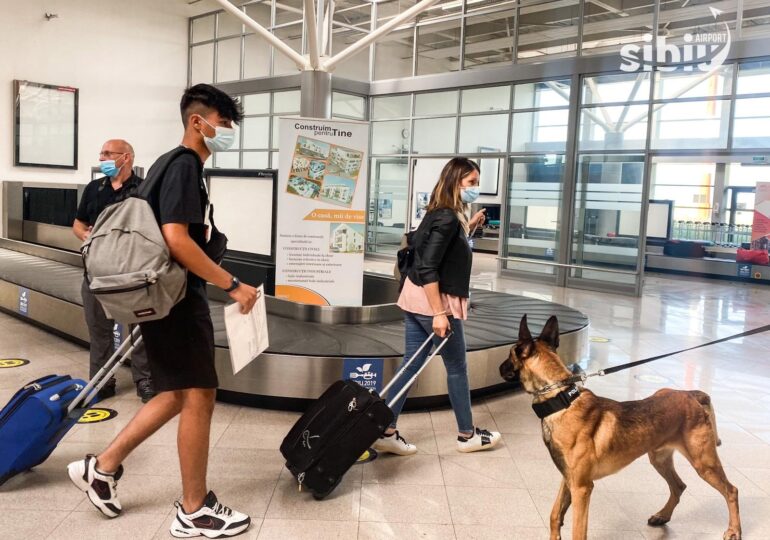 Câinii care depistează Covid ajung curând şi pe aeroportul din Cluj