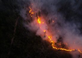 Incendiile forestiere extreme fac ravagii și în centrul Rusiei (Video)