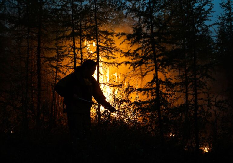 Sute de incendii pe milioane de hectare din Siberia: Putin a cerut și mai mulți pompieri