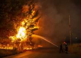 Grecia are un nou ministru pentru gestionarea situaţiei de după incendiile devastatoare