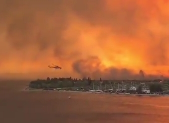 Zonele mistuite de flăcări în această vară în Grecia vor depăși 150.000 de hectare