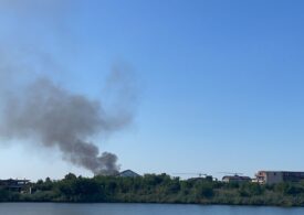 Incendiu lângă București: Arde o hală la Mogoșoaia, a fost transmis mesaj Ro-Alert (Foto&Video) - UPDATE