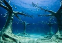 Un parc unic în lume a fost deschis în Cipru: Pădurea scufundată (Galerie foto)
